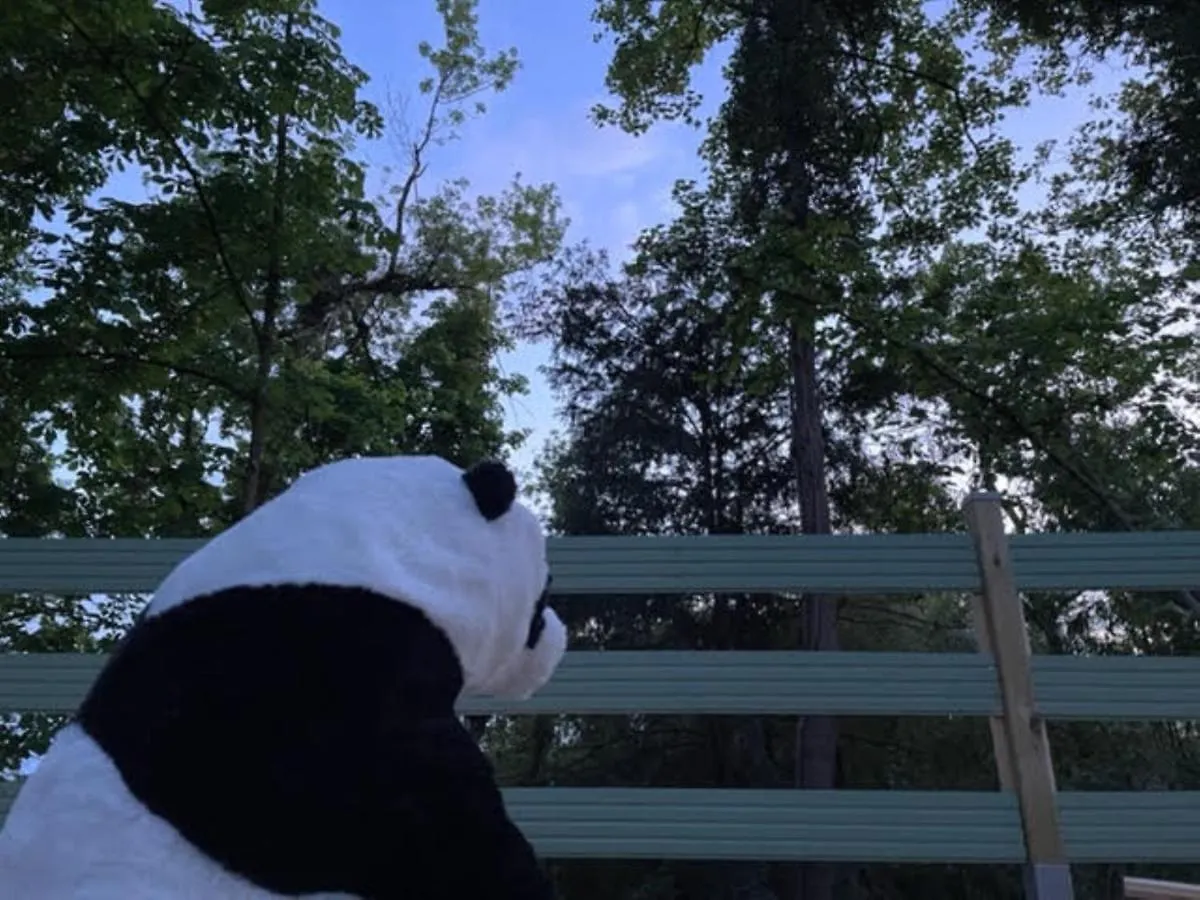 La cabane du Panda Abrest France